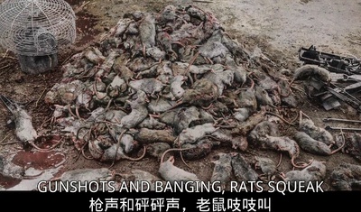 他们已不再变老剧照的剧照