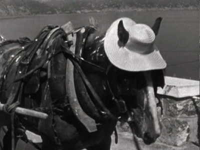 孩子在看着我们剧照的剧照