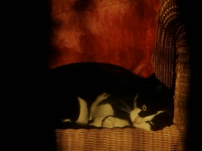 风的第一声呼吸剧照的剧照