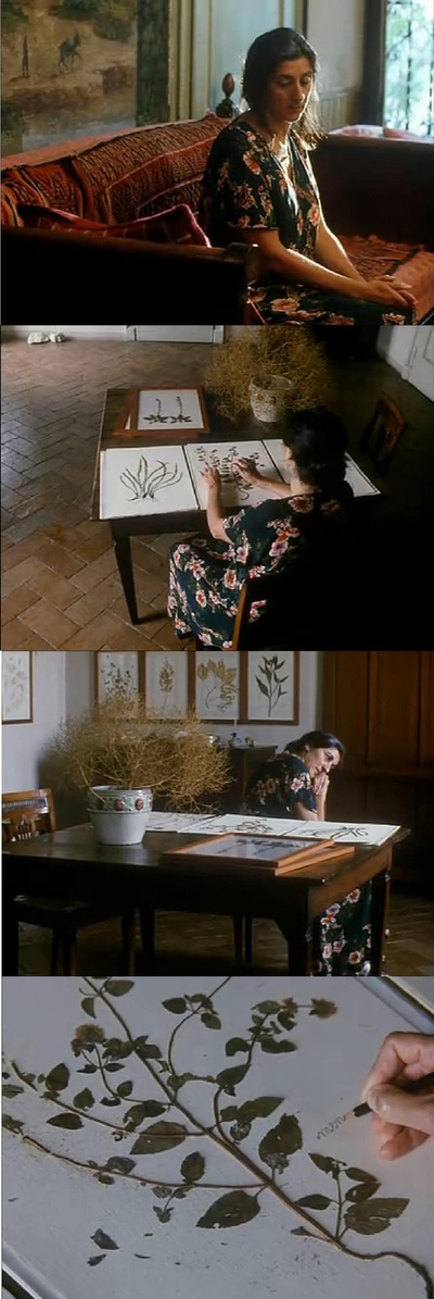 风的第一声呼吸剧照的剧照