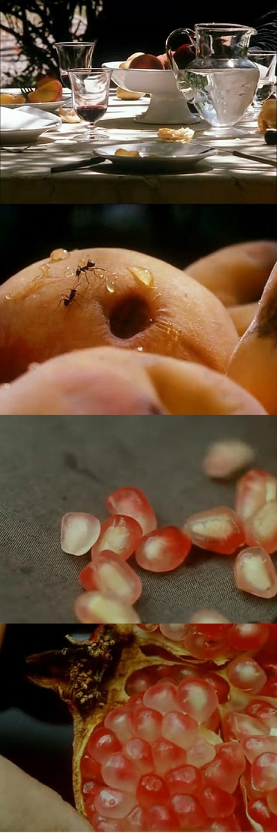 风的第一声呼吸剧照的剧照