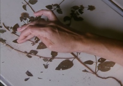 风的第一声呼吸剧照的剧照