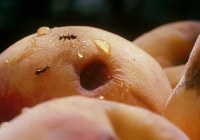 风的第一声呼吸剧照的剧照