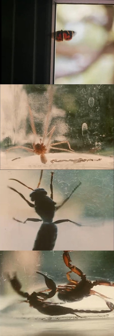 风的第一声呼吸剧照的剧照