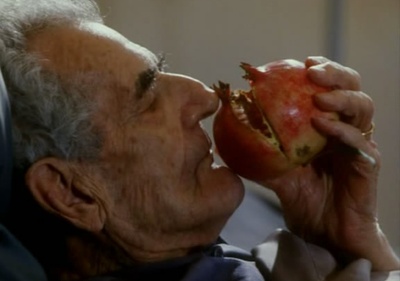 风的第一声呼吸剧照的剧照