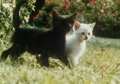 风的第一声呼吸剧照的剧照