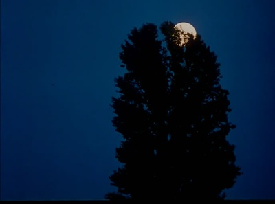 风的第一声呼吸剧照的剧照