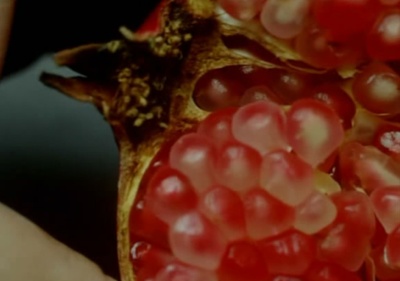 风的第一声呼吸剧照的剧照