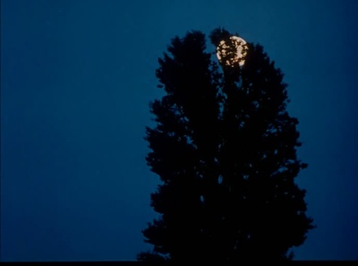 风的第一声呼吸剧照的剧照