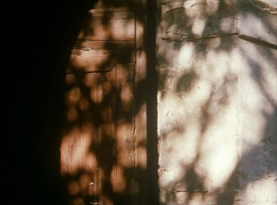 风的第一声呼吸剧照的剧照