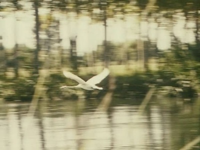 风的第一声呼吸剧照的剧照