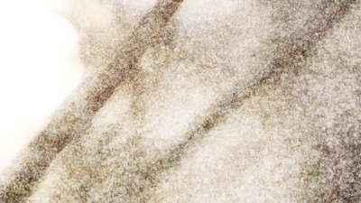 坂本龙一：异步剧照的剧照