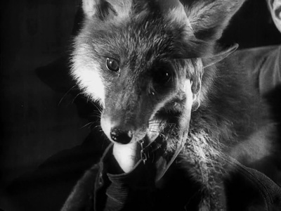 罢工剧照的剧照