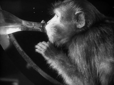 罢工剧照的剧照