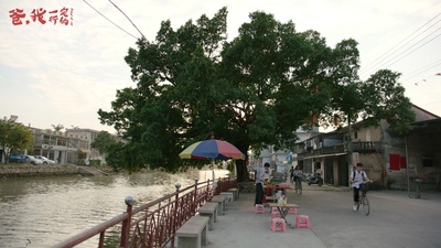 爸，我一定行的剧照的剧照