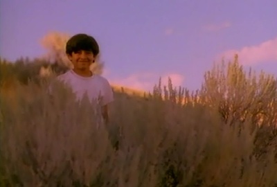 友情天地剧照的剧照