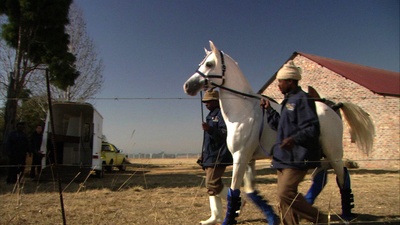 龙卷风和卡拉哈里马语者剧照的剧照