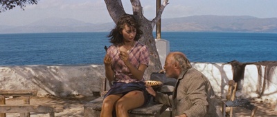 金童海豚剧照的剧照