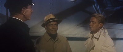 金童海豚剧照的剧照