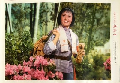 杜鹃山剧照的剧照