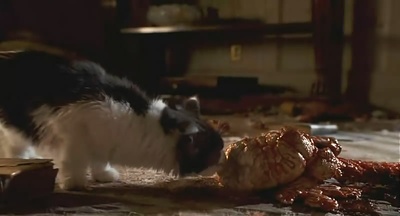 撕裂人剧照的剧照