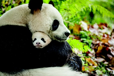 我们诞生在中国剧照的剧照