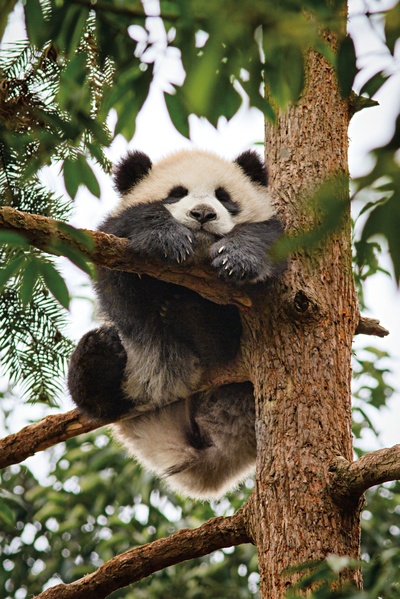 我们诞生在中国剧照的剧照