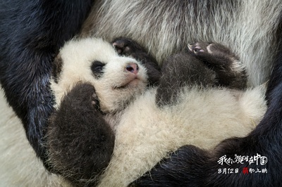 我们诞生在中国剧照的剧照