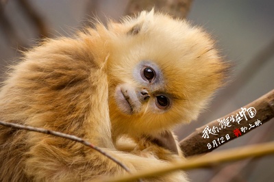 我们诞生在中国剧照的剧照