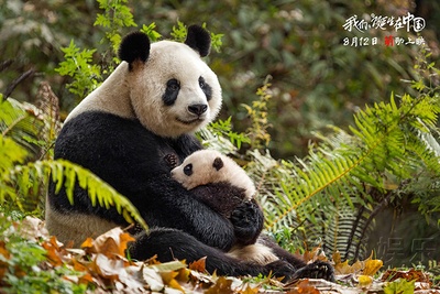 我们诞生在中国剧照的剧照