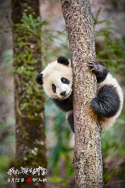 我们诞生在中国剧照的剧照