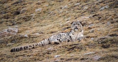 我们诞生在中国剧照的剧照