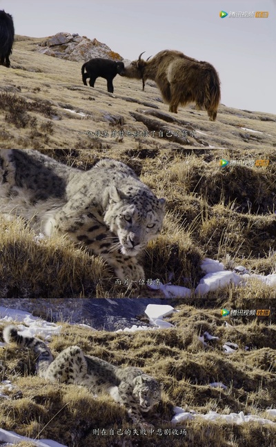 我们诞生在中国剧照的剧照