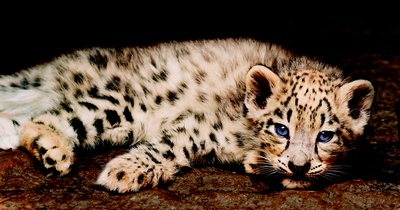 我们诞生在中国剧照的剧照