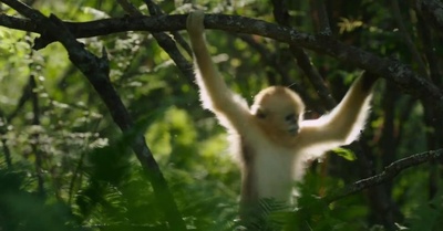 我们诞生在中国剧照的剧照