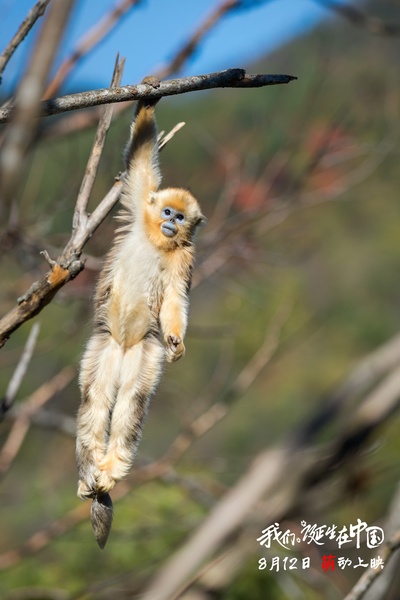 我们诞生在中国剧照的剧照