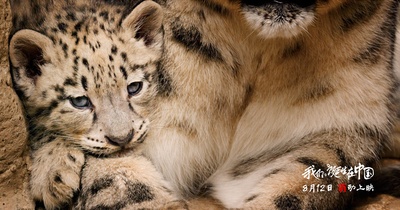 我们诞生在中国剧照的剧照