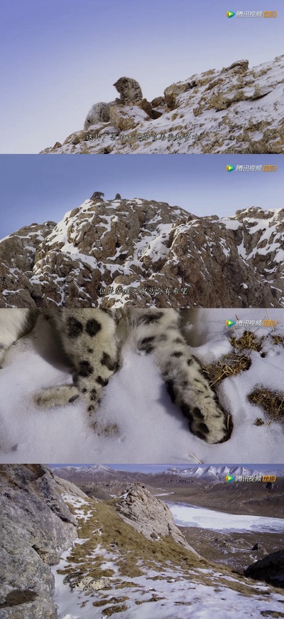 我们诞生在中国剧照的剧照