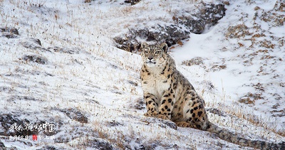 我们诞生在中国剧照的剧照