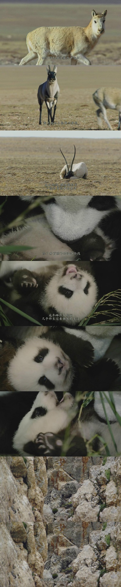 我们诞生在中国剧照的剧照