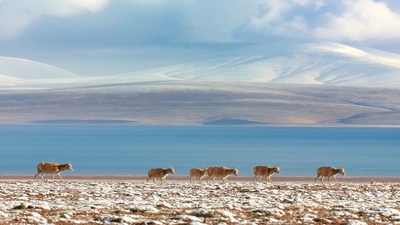 我们诞生在中国剧照的剧照
