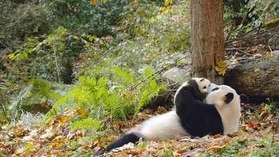 我们诞生在中国剧照的剧照