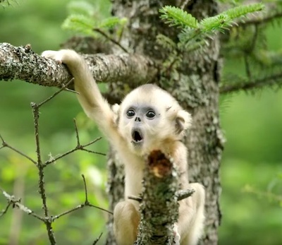 我们诞生在中国剧照的剧照