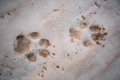 我们诞生在中国剧照的剧照