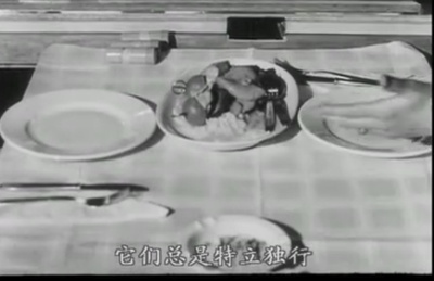 驳斥所有对电影《景观社会》的判断，无论褒贬剧照的剧照