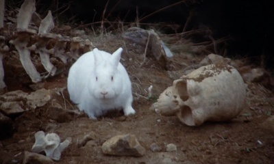 巨蟒与圣杯剧照的剧照