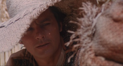 佐罗剧照的剧照