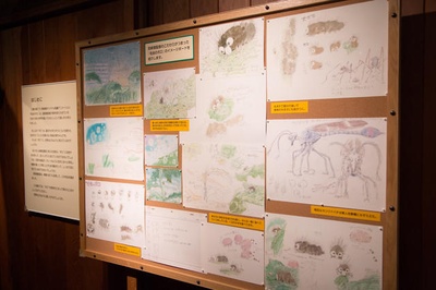 毛毛虫波罗剧照的剧照