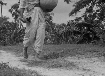 大河之歌剧照的剧照