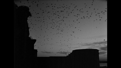 大河之歌剧照的剧照